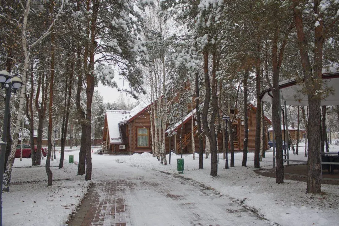 Засніжена доріжка між соснами та котеджами