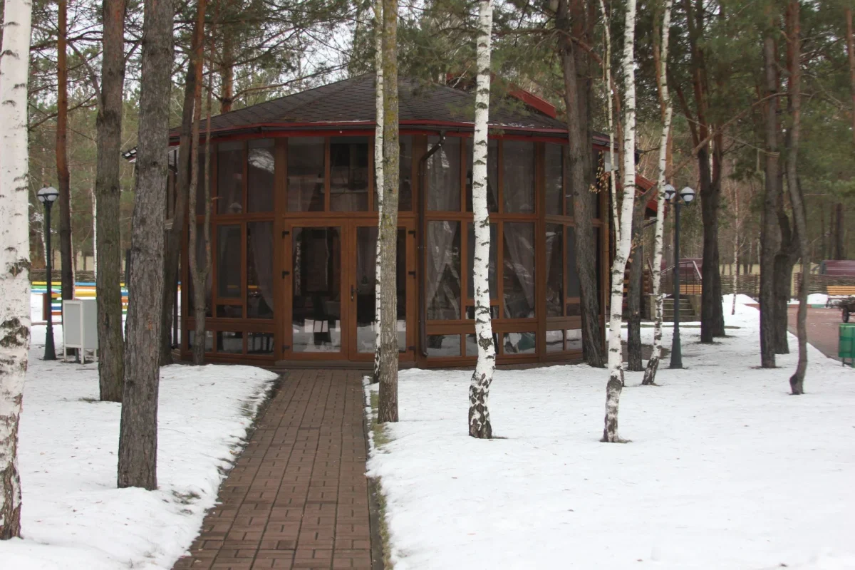 Панорамна альтанка серед засніжених дерев